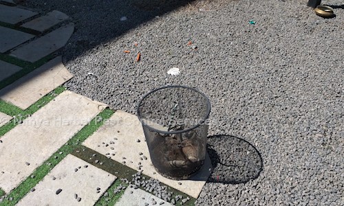 Siddesha R - Pest Control in Koramangala, Bangalore
