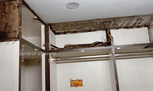 Pest control agency - Pest Control in Jagatpura, Jaipur