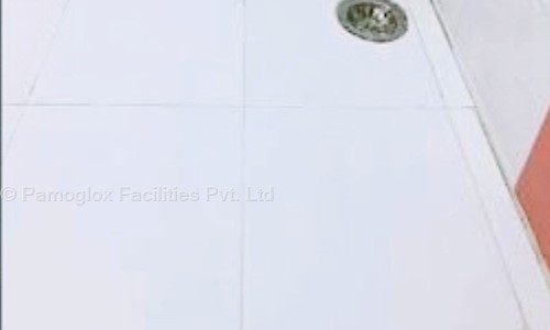 Pamoglox Facilities Pvt. Ltd. - Pest Control in Jayadev Vihar, Bhubaneswar