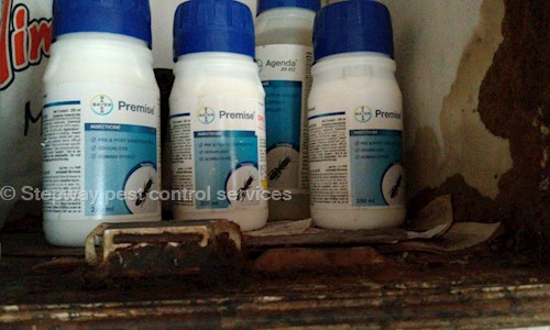 Stepway pest control services - Pest Control in Nunna, Vijayawada