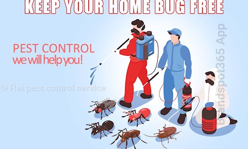 Rai pest control service - Pest Control in Jahangirabad, Bhopal