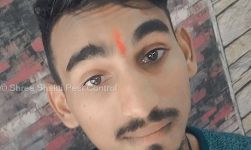 Shree Shakti Pest Control - Pest Control in Lalbaug , Vadodara