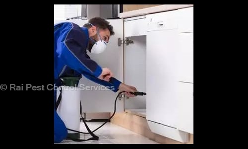 Rai Pest Control Services - Pest Control in Aish Bagh, Bhopal