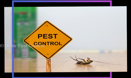 Unite Pest Control - Pest Control in Gomti Nagar, Lucknow
