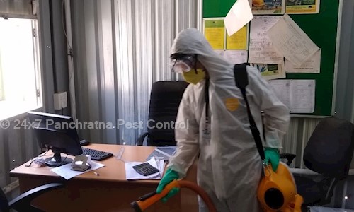 24x7 Panchratna Pest Control - Pest Control in Hadapsar, Pune