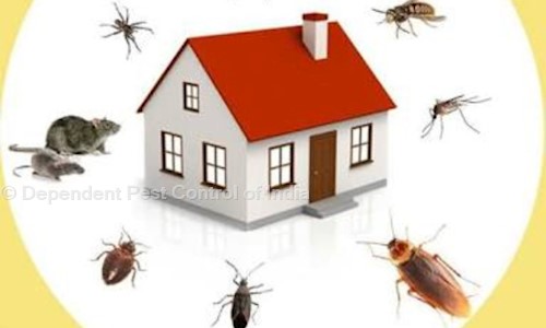 Dilip Singh - Pest Control in Patel Nagar, Patna