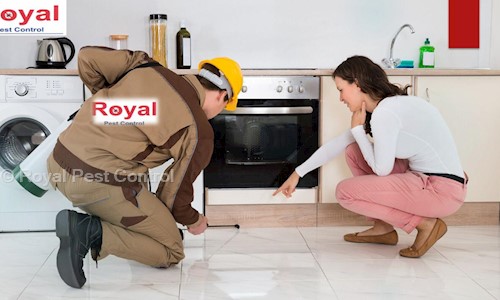 Royal Pest Control - Pest Control in Satellite, Ahmedabad