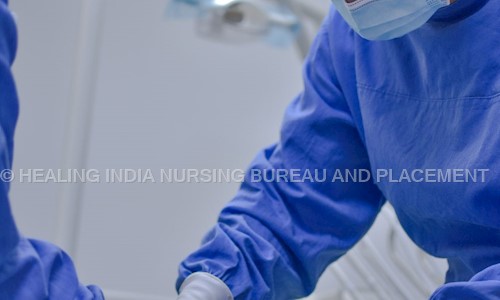 HEALING INDIA NURSING BUREAU AND PLACEMENT - Placement Consultancies in Mehrauli, Delhi