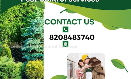 Excellence Pest Control Services - Pest Control in Vadgaon Budruk, Pune