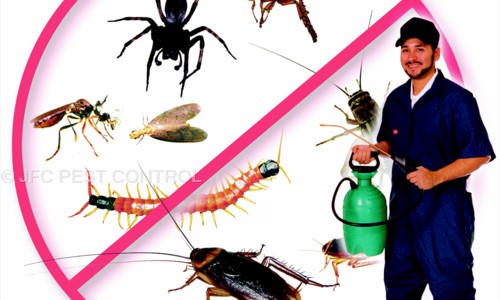 JFC PEST CONTROL - Pest Control in Hardaspur, Phagwara