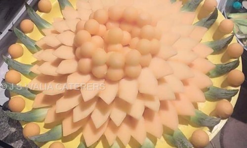 J S WALIA CATERERS - Catering Services in Sultanwind Road, Amritsar