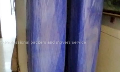 Professional packers and movers service - Packers and Movers in Ansal City, Meerut