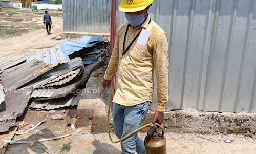 National Pest Control - Pest Control in LDA Colony, Lucknow
