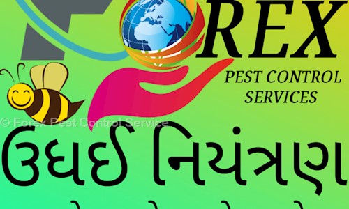 Forex Pest Control Service - Pest Control in Thaltej, Ahmedabad