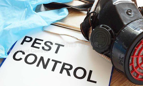 Mahi Pest Control - Pest Control in Nangloi, Delhi