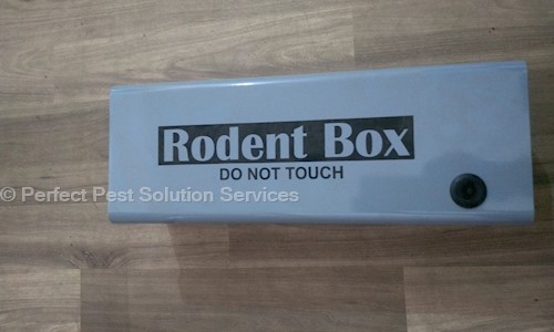 Perfect Pest Solution Services - Pest Control in Sikar Road, Ajmer