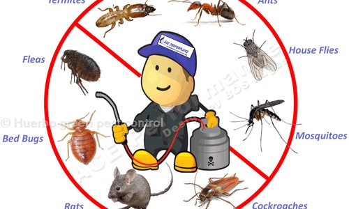 Huerbo green pest control - Pest Control in Marine Lines, Mumbai