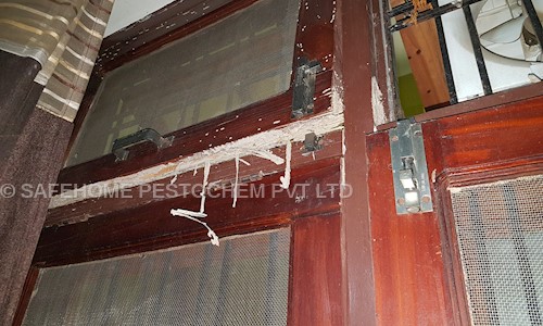 SAFEHOME PESTOCHEM PVT LTD - Pest Control in Chandralok, Lucknow