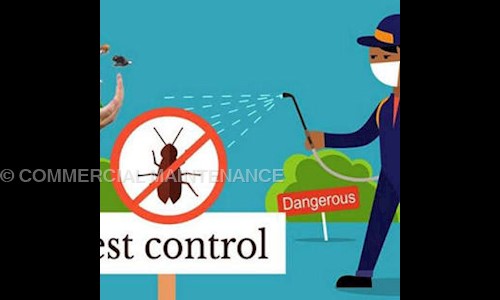 COMMERCIAL MAINTENANCE - Pest Control in Dewalchaur Bandobasti, Haldwani