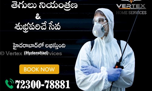 Vertex Home Services - Pest Control in Lalpur, Raipur