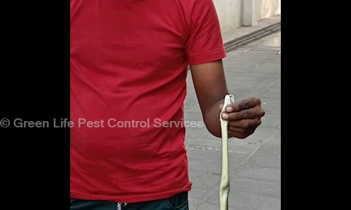 Green Life Pest Control Services - Pest Control in Khar West, Mumbai
