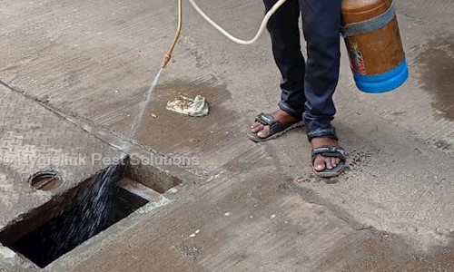Hygielink Pest Solutions - Pest Control in Katraj, Pune