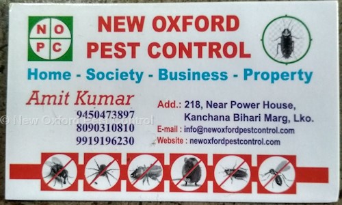 New Oxford Pest Control - Pest Control in Kalyanpur, Lucknow