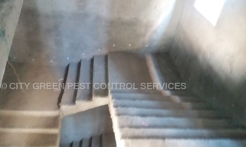 CITY GREEN PEST CONTROL SERVICES - Pest Control in Banjara Hills, Hyderabad