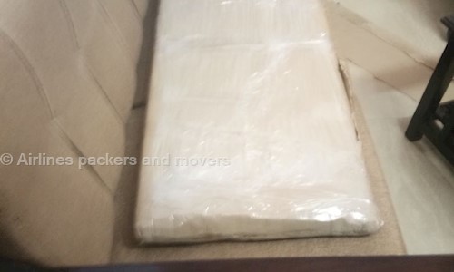 Airlines packers and movers - Packers and Movers in Durga Nursery Road, Udaipur