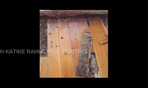Katike Rahul Pest Control Services - Pest Control in Attapur, Hyderabad