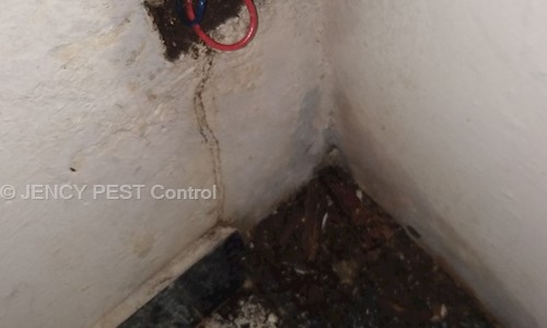 JENCY Pest control - Pest Control in Ponmar, Chennai
