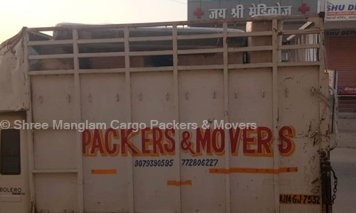 Shree Manglam Cargo Packers & Movers - Packers and Movers in Tagore Nagar, Jaipur