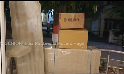 SENIOR India Packers & Movers Regd. - Packers and Movers in Sheikhpura, Patna