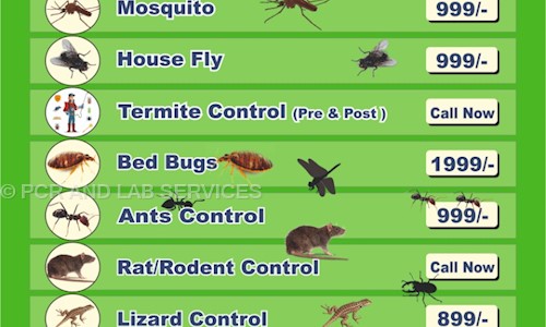PCR AND LAB SERVICES - Pest Control in Muhana Road, Jaipur