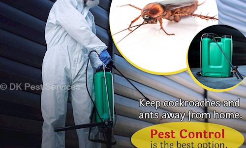DK Pest Services - Pest Control in Sayajigunj, Vadodara