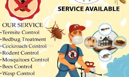 Modern Pest Solutions - Pest Control in Ambala City, Ambala