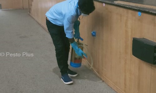 Pesto Plus - Pest Control in K R Puram, Bangalore