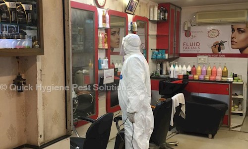 Quick Hygiene Pest Solutions - Pest Control in Masuri, Ghaziabad