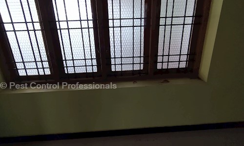 Pest Control Professionals - Pest Control in Chettikulam, Nagercoil