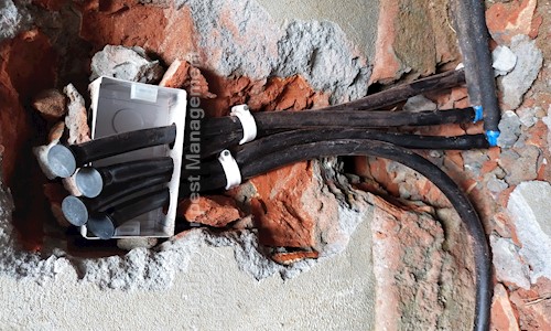 Exl power pest Management service - Pest Control in Shimlapuri, Ludhiana