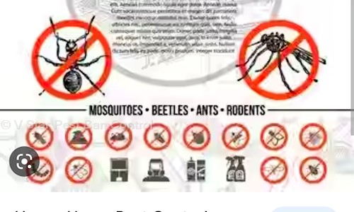 V Star Pest Ban Control - Pest Control in Mathikere, Bangalore