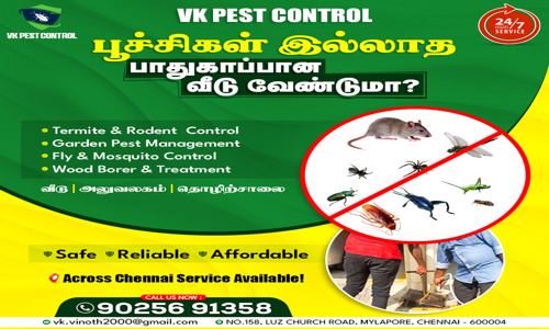 Raghuth T - Pest Control in Mylapore, Chennai