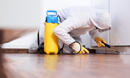 Herbal pest control - Pest Control in Kaloor, Cochin