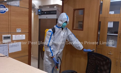 Bug Buster Pest Management Services Private Limited - Pest Control in Mahaveer Nagar, Kota