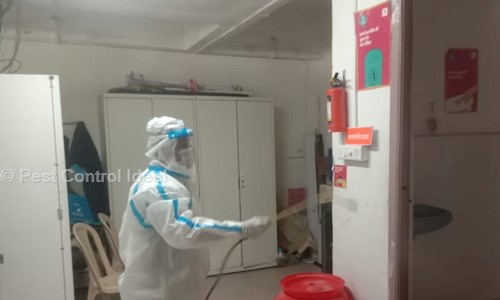 Pest Control Ideal - Pest Control in Pandharpur, Solapur