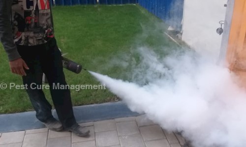 Pest Cure Management - Pest Control in Paschim Putiary, Kolkata