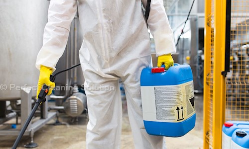 Perfect Cleaning Solution - Pest Control in Chandrasekharpur, Bhubaneswar