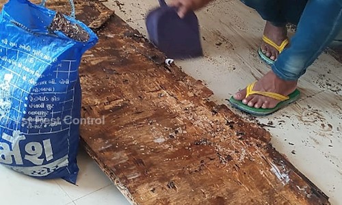 Vst Pest Control - Pest Control in Sayaji Park Society, Vadodara