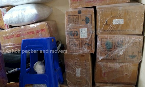 Ashok packer and movers - Packers and Movers in Bhayander East, Mumbai