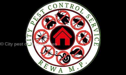 City pest control services - Pest Control in Sirmour Chowk, Rewa